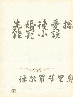 先婚后爱总裁太能宠小说