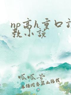 np高h重口调教小说