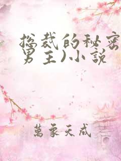 总裁的秘密(双男主)小说