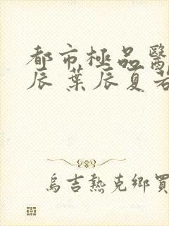 都市极品医神叶辰 叶辰夏若雪