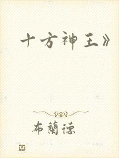 十方神王》
