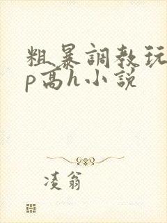 粗暴调教玩弄np高h小说