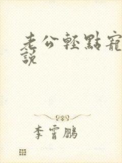 老公轻点宠 小说