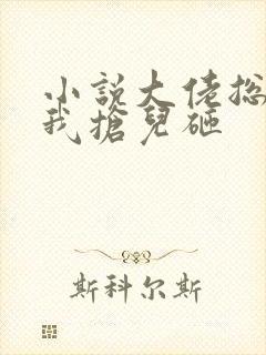 小说大佬总想跟我抢儿砸