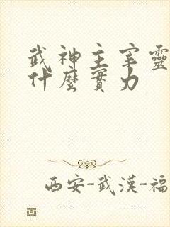 武神主宰灵武王什么实力
