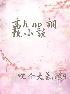 高h np 调教小说