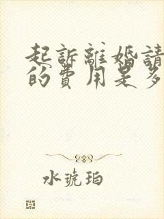 起诉离婚请律师的费用是多少