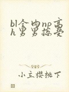 bl全肉np高h男男总受