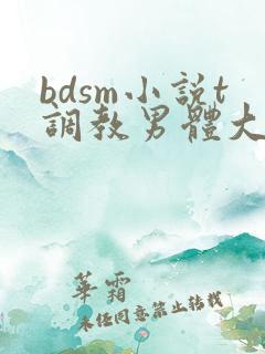 bdsm小说t调教男体大