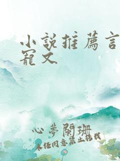 小说推荐言情甜宠文