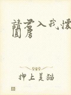 请君入我怀短剧圆房