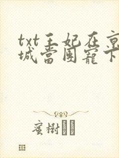 txt王妃在京城当团宠下载