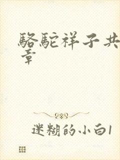 骆驼祥子共多少章