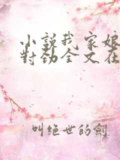 小说我家娘子不对劲全文在线阅读