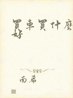 买车买什么样的好