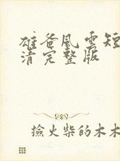 雄爸风云短剧高清完整版