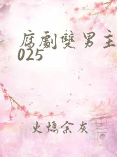 腐剧双男主剧2025