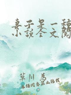 妻子是一种感觉小说全文阅读