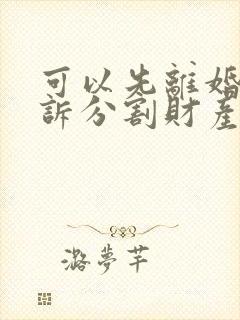 可以先离婚后起诉分割财产吗