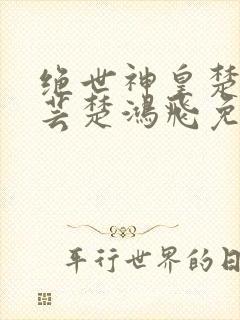 绝世神皇楚风楚芸楚鸿飞免费阅读