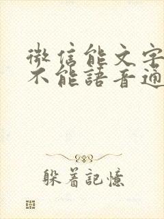 微信能文字聊天不能语音通话