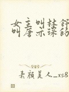 女主叫林舒男主叫唐亦琛的小说