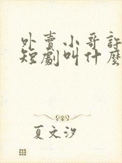 外卖小哥许愿的短剧叫什么