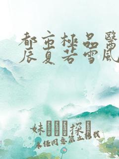 都市极品医神叶辰夏若雪风会笑