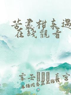 苦尽柑来遇见你 在线观看