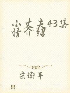 小丈夫43集剧情介绍
