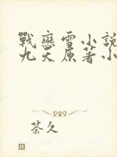 战恋雪小说凤舞九天原著小说阅读笔趣阁