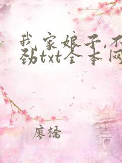 我家娘子,不对劲txt全本网盘下载