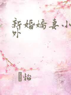 新婚娇妻小茹番外