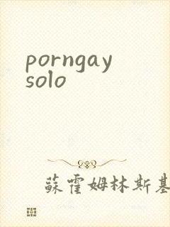 porngaysolo