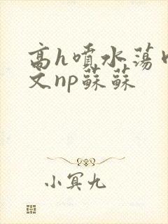 高h喷水荡肉爽文np苏苏