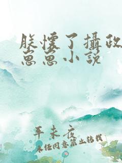 朕怀了摄政王的崽崽小说