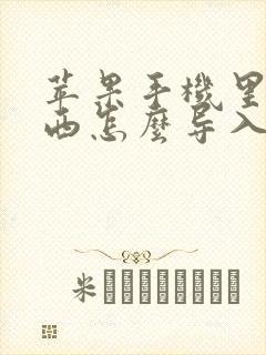 苹果手机里面东西怎么导入新手机