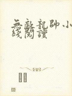 无敌龙帅小说在线阅读