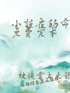 小说夜的命名术免费完本