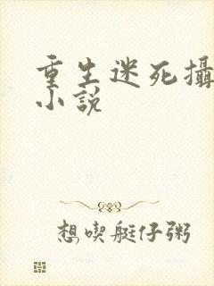 重生迷死摄政王小说