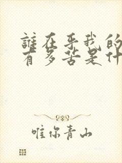 谁在乎我的心里有多苦是什么歌