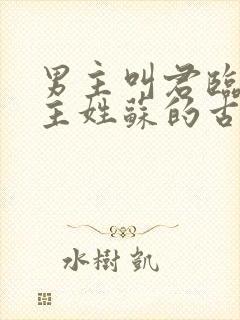 男主叫君临渊女主姓苏的古言小说