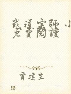 武道宗师 小说免费阅读