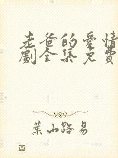 老爸的爱情电视剧全集免费观看