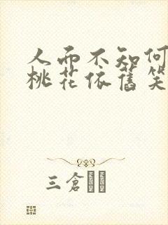 人面不知何处去桃花依旧笑春风的故事