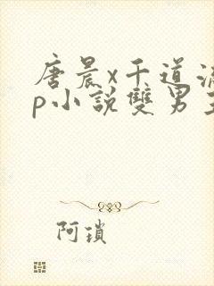唐晨x千道流cp小说双男主