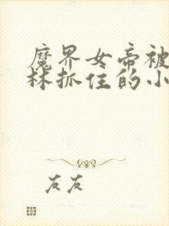 魔界女帝被哥布林抓住的小说