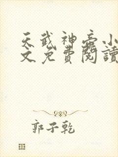 天武神帝小说全文免费阅读