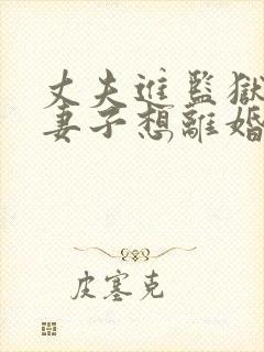 丈夫进监狱了,妻子想离婚怎么办