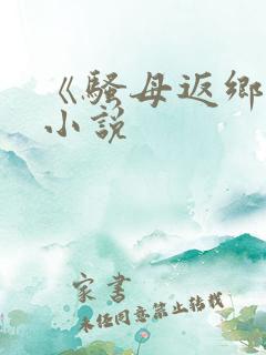 《骚母返乡记》小说